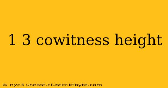 1 3 cowitness height