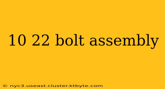 10 22 bolt assembly