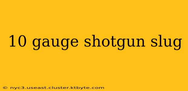 10 gauge shotgun slug