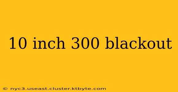 10 inch 300 blackout