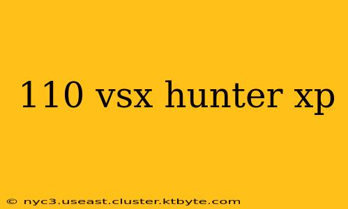 110 vsx hunter xp