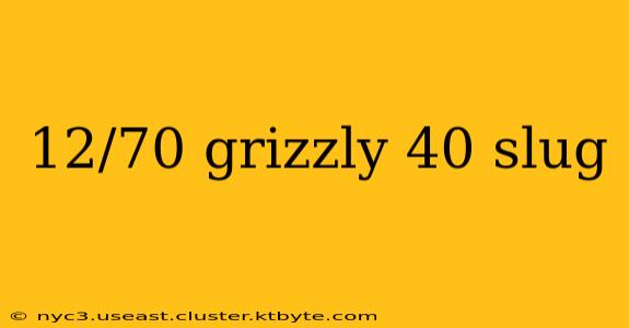 12/70 grizzly 40 slug