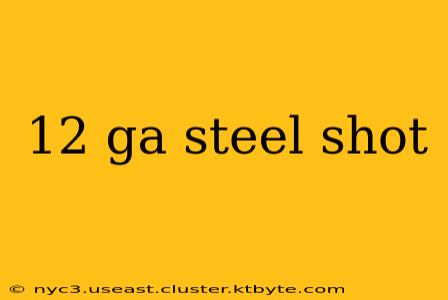 12 ga steel shot