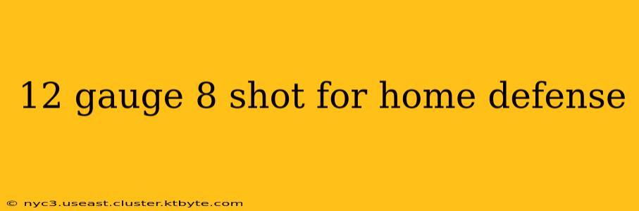 12 gauge 8 shot for home defense