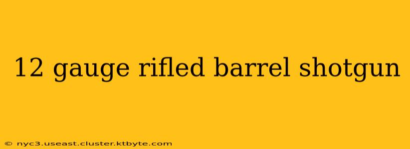 12 gauge rifled barrel shotgun