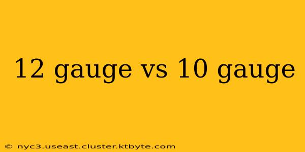 12 gauge vs 10 gauge