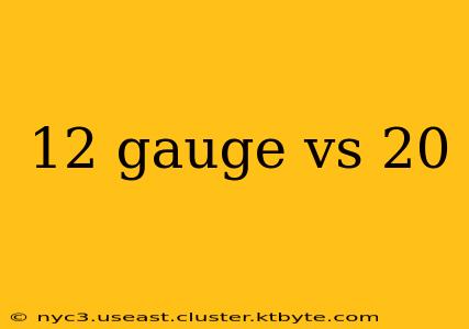 12 gauge vs 20