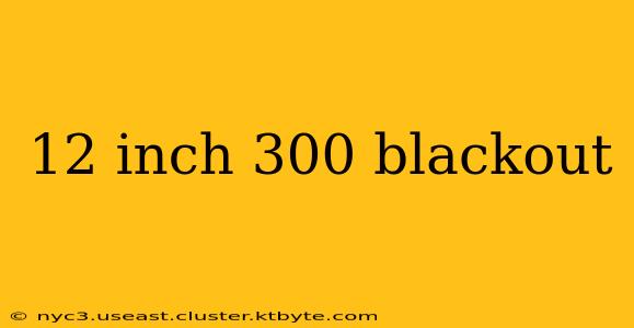 12 inch 300 blackout