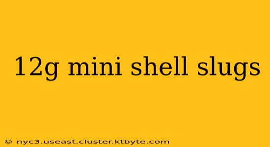 12g mini shell slugs