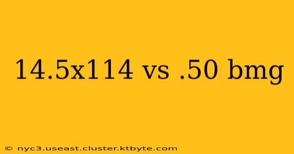 14.5x114 vs .50 bmg