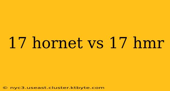 17 hornet vs 17 hmr