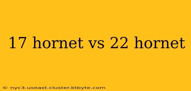 17 hornet vs 22 hornet