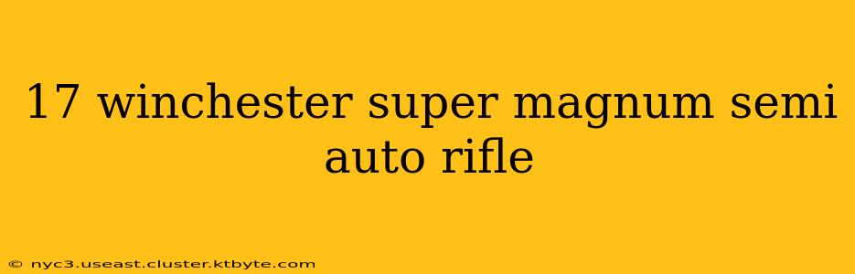 17 winchester super magnum semi auto rifle