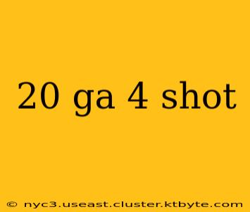 20 ga 4 shot