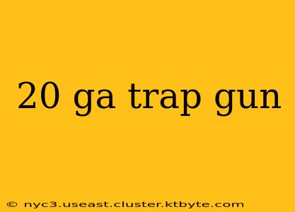 20 ga trap gun