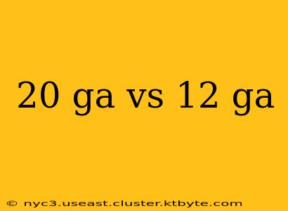 20 ga vs 12 ga