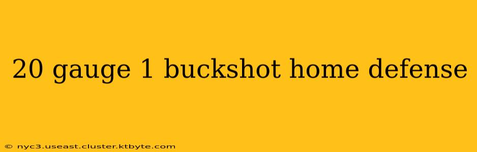 20 gauge 1 buckshot home defense