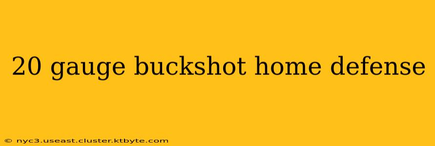 20 gauge buckshot home defense