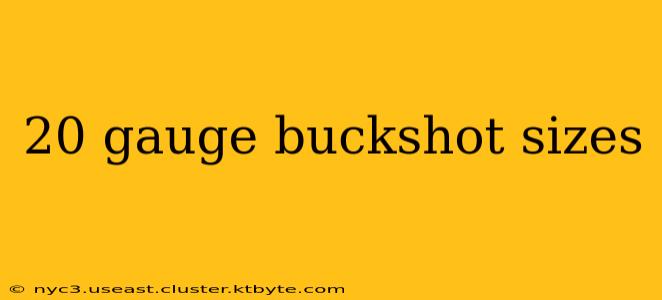 20 gauge buckshot sizes