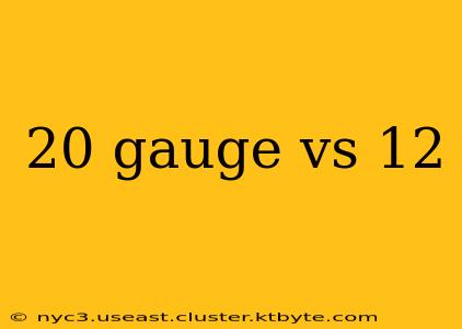 20 gauge vs 12