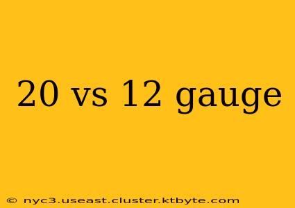 20 vs 12 gauge