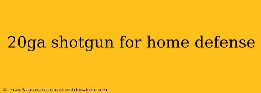 20ga shotgun for home defense