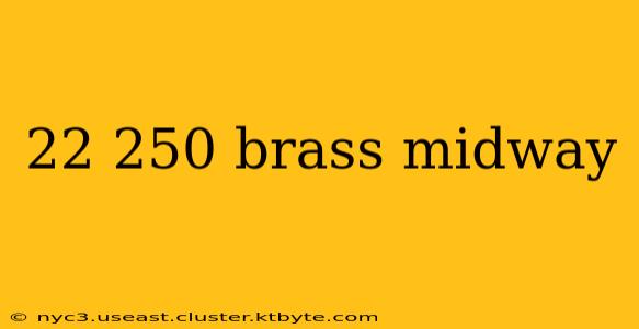 22 250 brass midway