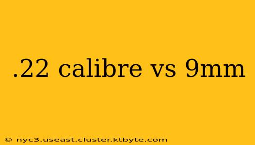 .22 calibre vs 9mm