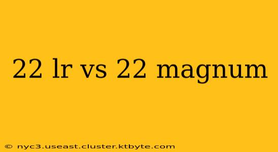 22 lr vs 22 magnum