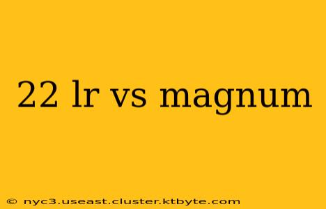 22 lr vs magnum