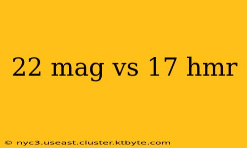 22 mag vs 17 hmr