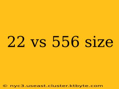 22 vs 556 size