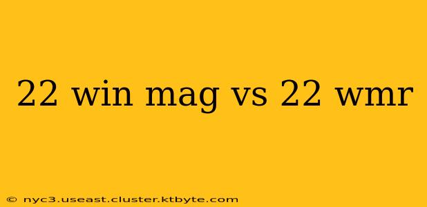 22 win mag vs 22 wmr