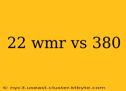 22 wmr vs 380