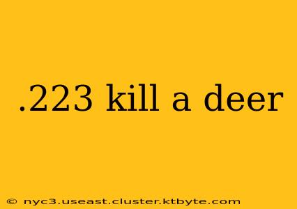 .223 kill a deer