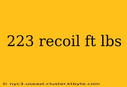 223 recoil ft lbs