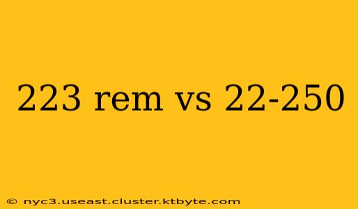 223 rem vs 22-250