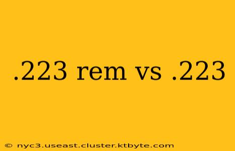 .223 rem vs .223