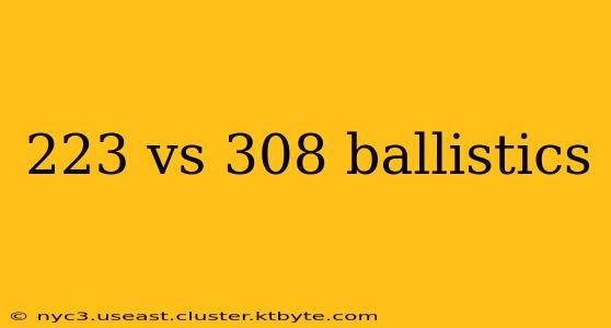 223 vs 308 ballistics