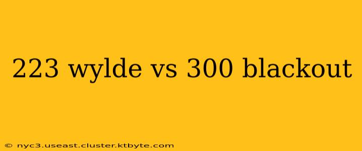 223 wylde vs 300 blackout