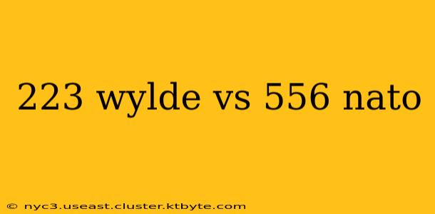 223 wylde vs 556 nato