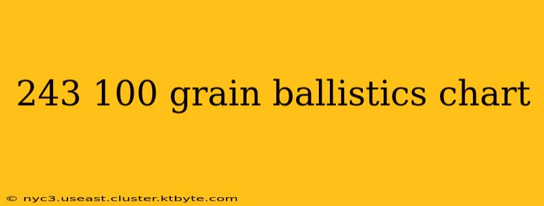 243 100 grain ballistics chart