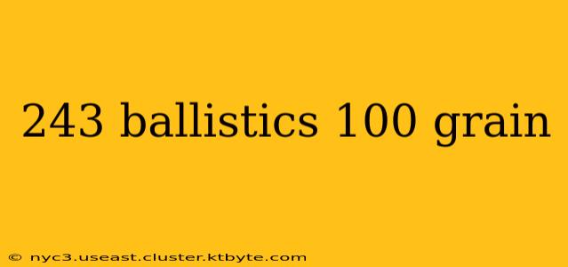 243 ballistics 100 grain