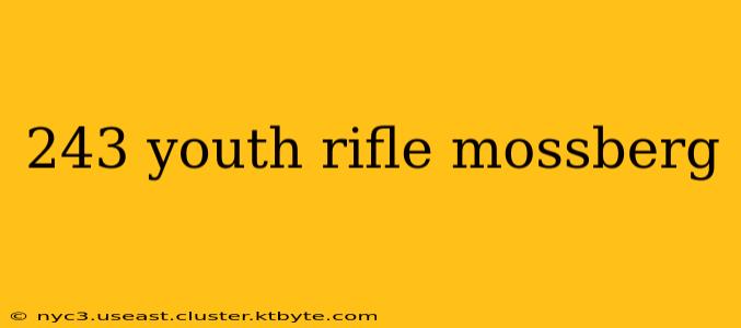 243 youth rifle mossberg