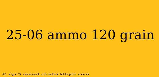 25-06 ammo 120 grain