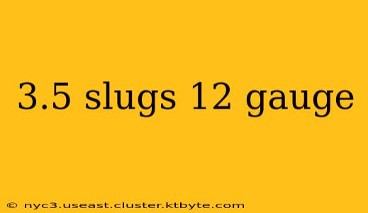 3.5 slugs 12 gauge