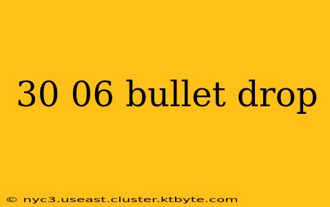 30 06 bullet drop