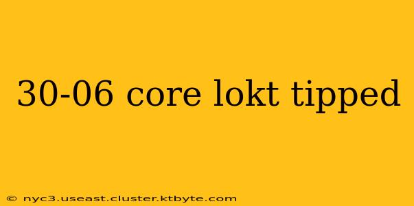 30-06 core lokt tipped