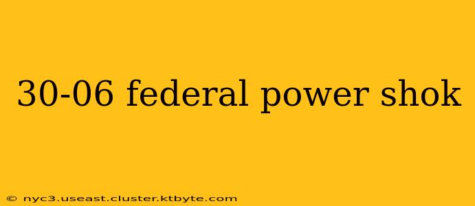 30-06 federal power shok