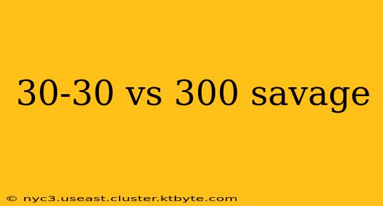 30-30 vs 300 savage